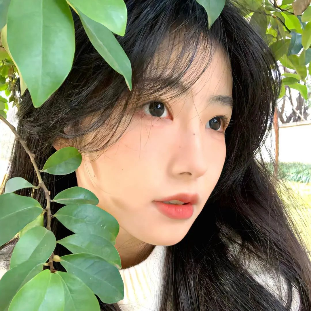 帝王蝶之子