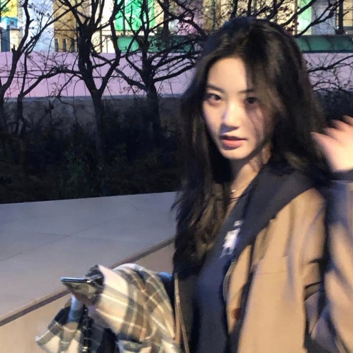 亲爱的大笨象